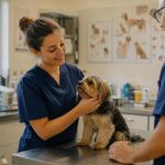 découvrez les étapes essentielles pour se reconvertir en auxiliaire vétérinaire, les formations nécessaires et les compétences requises pour réussir dans ce métier passionnant.